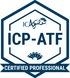 ICP - Agite Team Facilitation